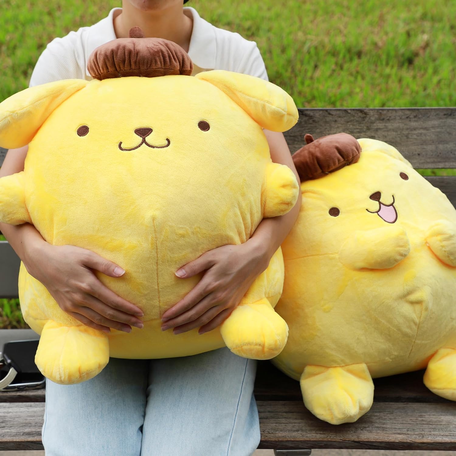 pompompurin