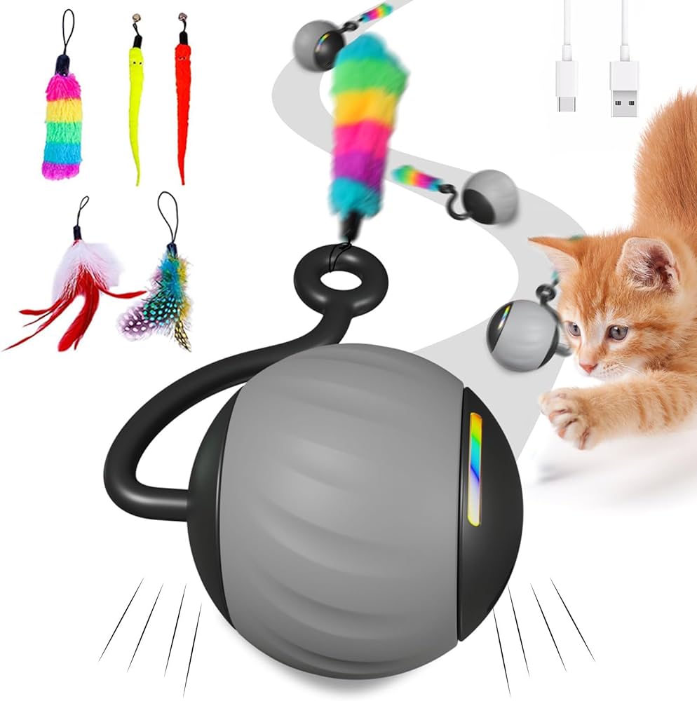 interactive  cat toy