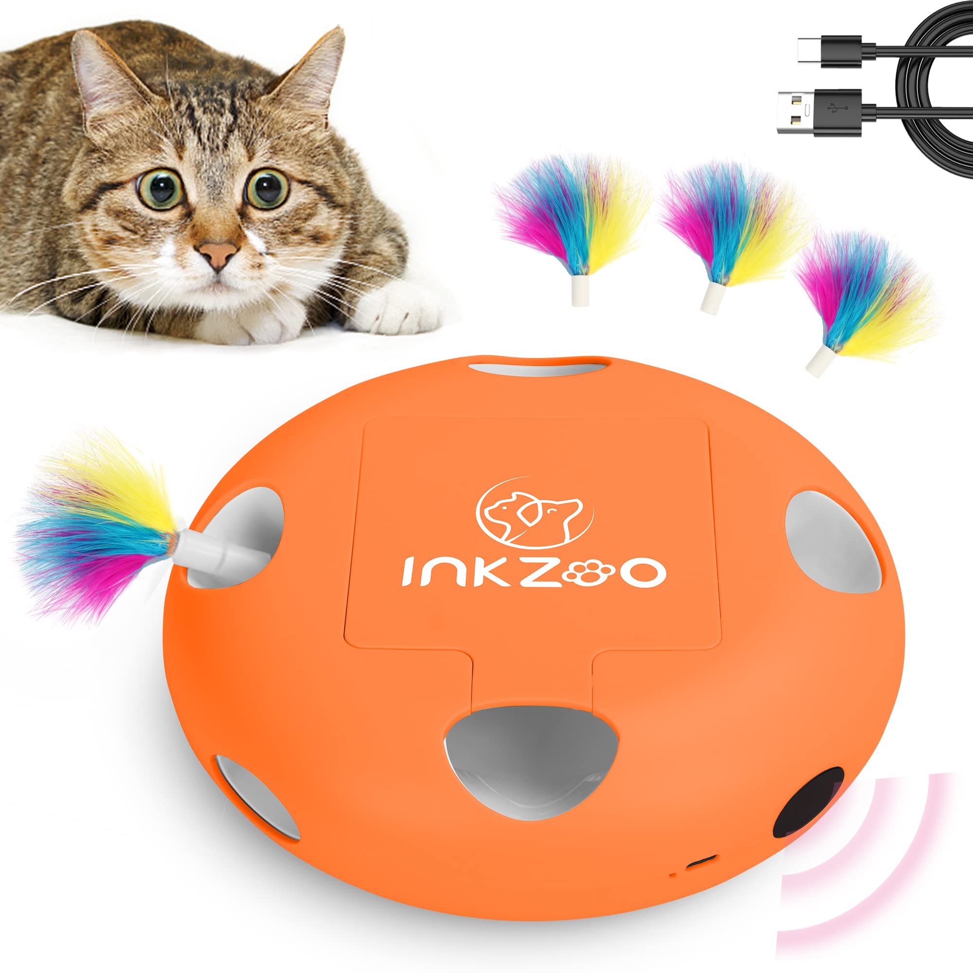 interactive cat toy