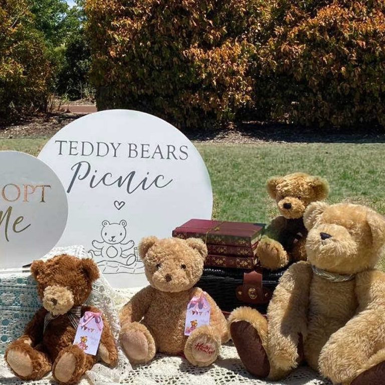 teddy bears picnic