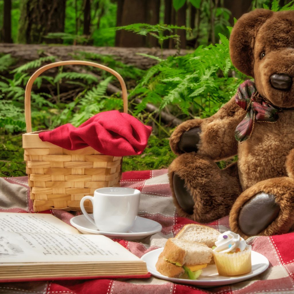 teddy bears picnic