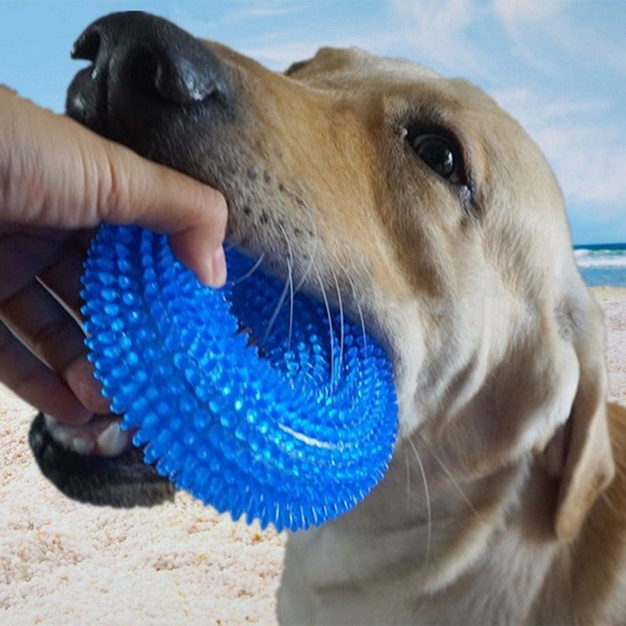 durable dog toys