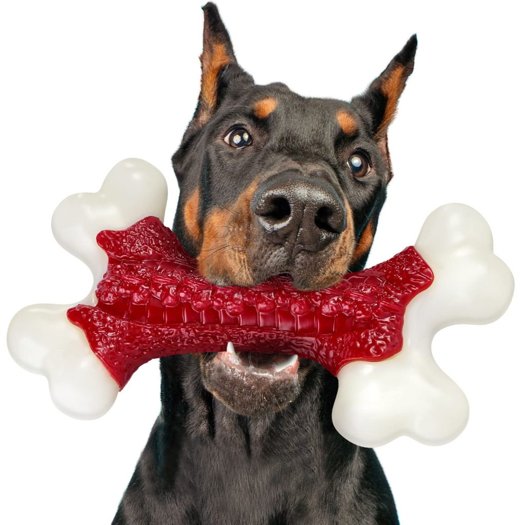 durable dog toys