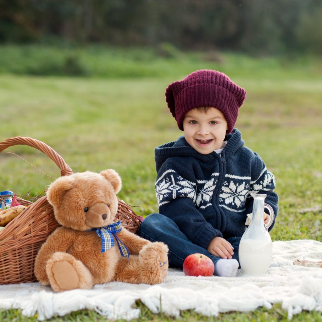 teddy bears picnic