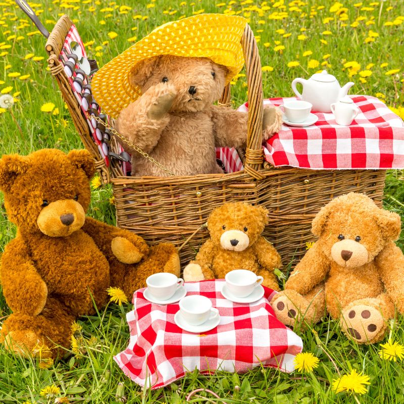 teddy bears picnic